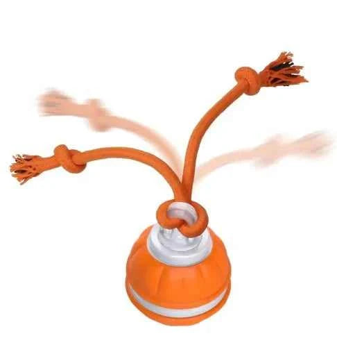 Orange interactive rolling dog ball with attached knotted rope toy for puppies and small dogs