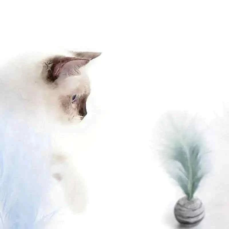 Cat Toy Feather Ball
