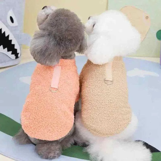 Two small dogs wearing plush winter coats, one in peach and the other in beige, sitting side by side indoors