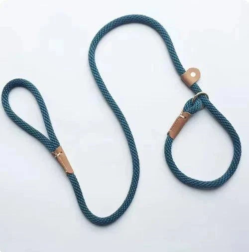 Pet owner walking dog with Adjustable Slip Lead leash