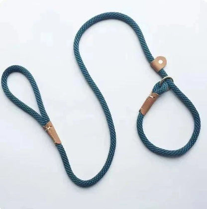 Pet owner walking dog with Adjustable Slip Lead leash