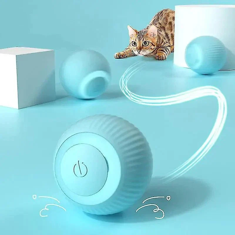 Close-up of the Moving Bouncing Rolling Ball, colorful durable design