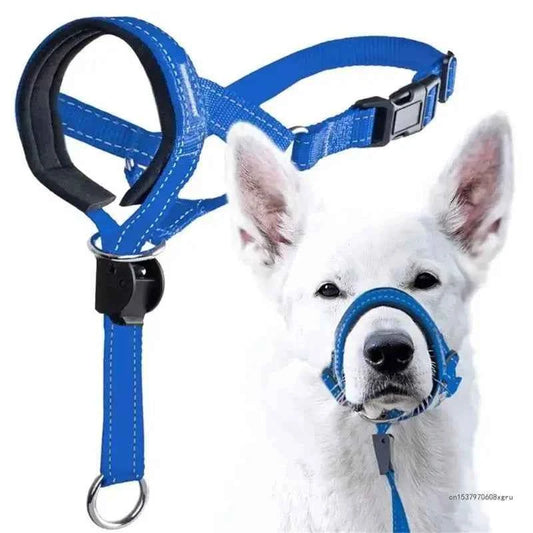 Blue nylon adjustable dog training collar with head halter for leash control and gentle guidance