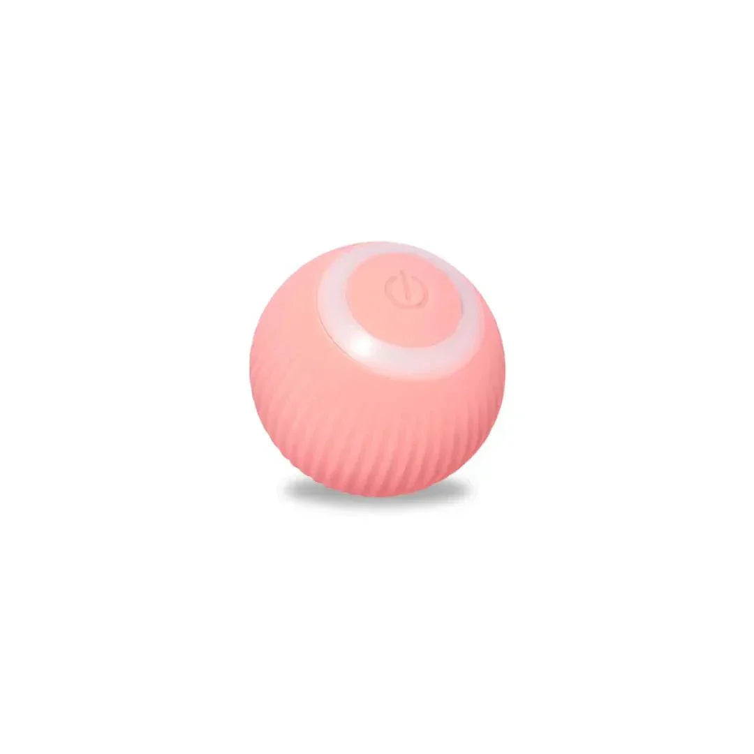 Dog chasing the Moving Bouncing Rolling Ball, bouncing pet toy