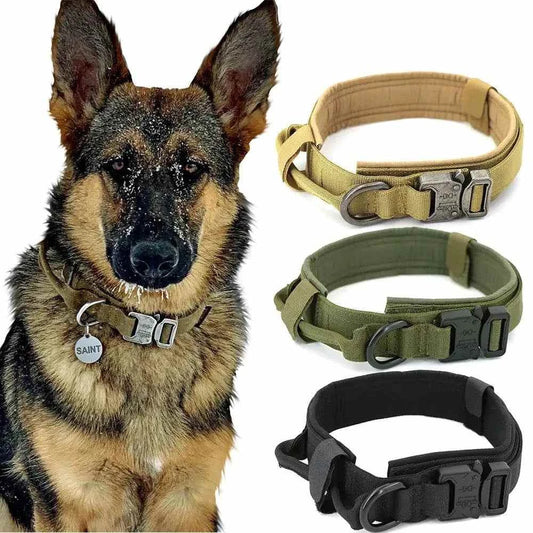 German Shepherd wearing adjustable durable dog collar with metal buckle, alongside beige, green, and black dog collars displayed separately