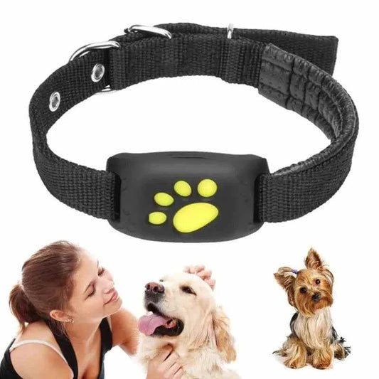 Black pet GPS tracker collar with yellow paw print, real-time location tracking, long battery, waterproof design for dogs