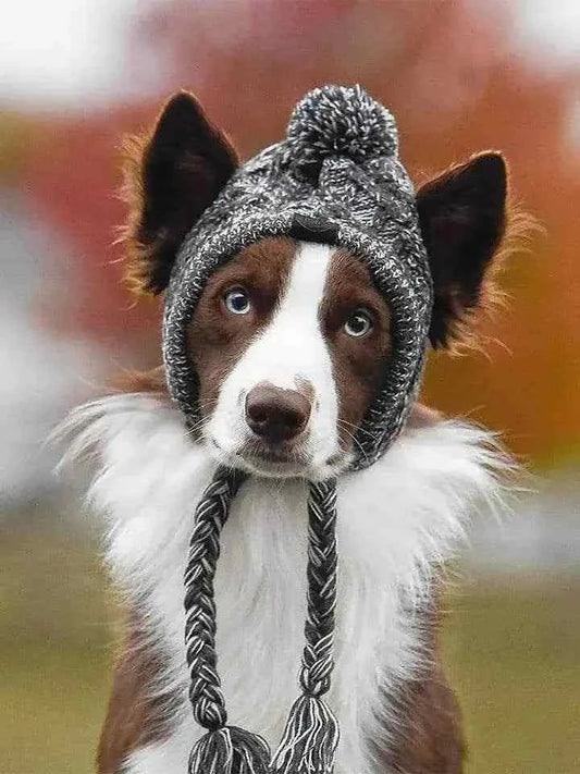 Brown and white dog wearing a gray knitted Canine Cap Companion hat with braided ties outdoors