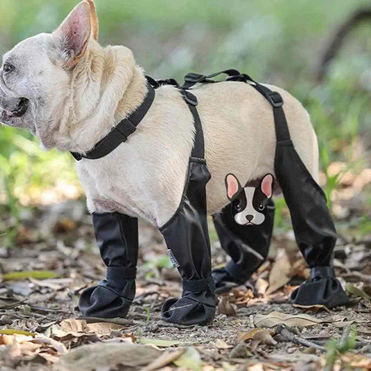 Small dog wearing black anti-slip dog shoes with adjustable straps outdoors on leaves